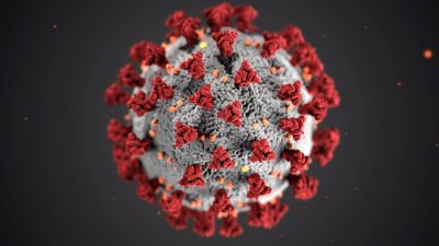 covid virus small